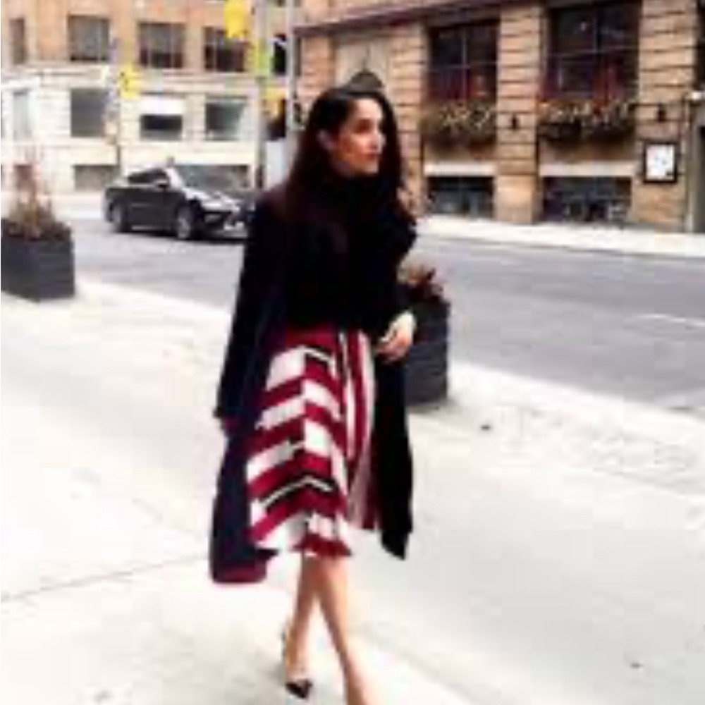 Express Skirt Womens Medium Pleated Pull On skirt L. ASO MEGHAN MARKLE